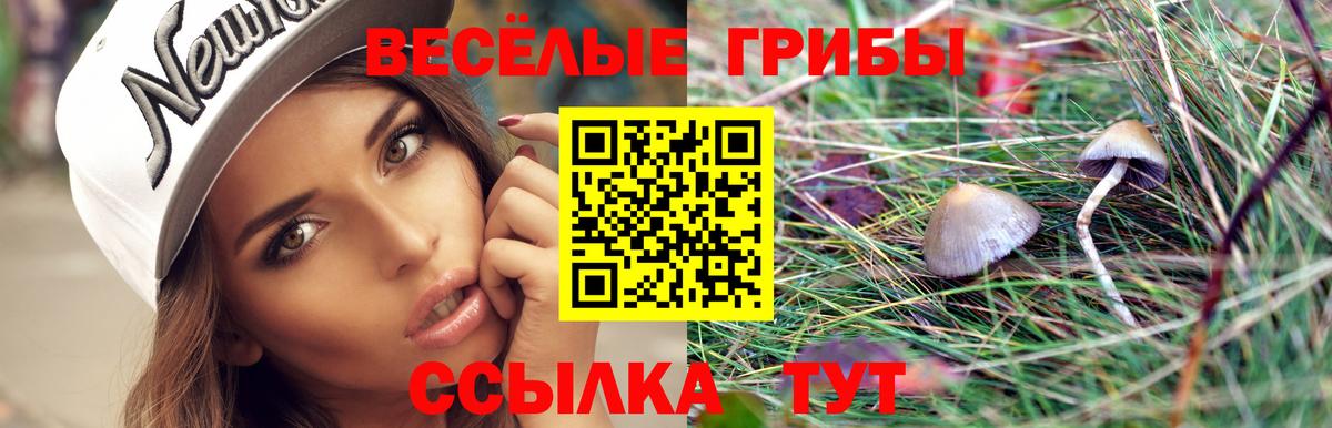 Бийск  Псилоцибиновые грибы Psilocybine cubensis  Вход с VPN  Псилоцибиновые грибы прущие грибы 